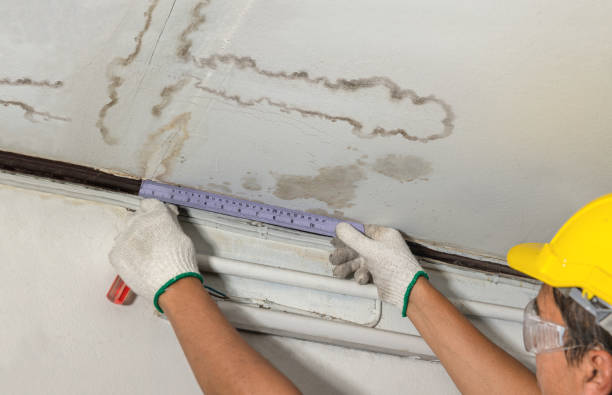 Reliable Water Damage contractor in Kiester, MN by Water Damage Irwin